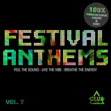 Festival Anthems, Vol. 7