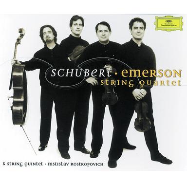 String Quartet No.12 In C Minor, D. 703 "Quartettsatz": Allegro assai