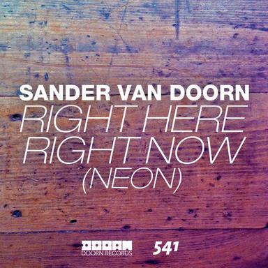 Right Here Right Now (Neon) - Ummet Ozcan Vocal Mix