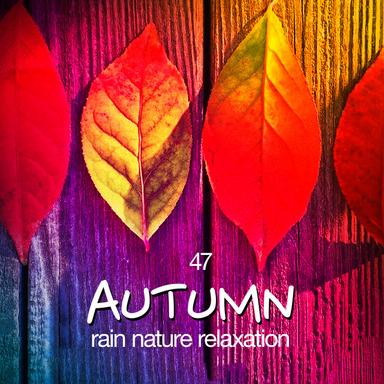 47 Autumn Rain Nature Relaxation