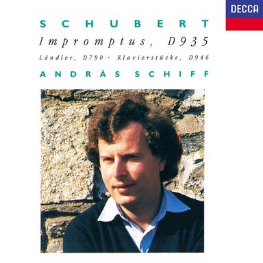 Allegretto in C minor, D.915