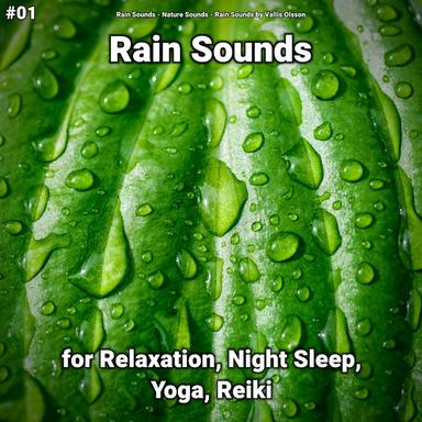 Rain Sounds for Deep Sleep