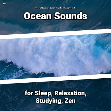 Ocean Sounds at Home