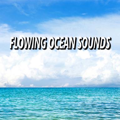 Relaxing Meditation Ocean Sounds