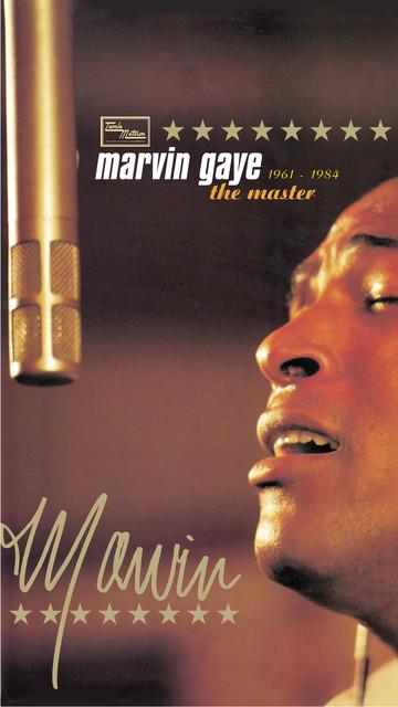 Good Lovin' Ain't Easy To Come By - Single Version (Mono)