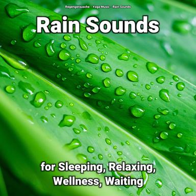 Rain Sounds to Fall Asleep To