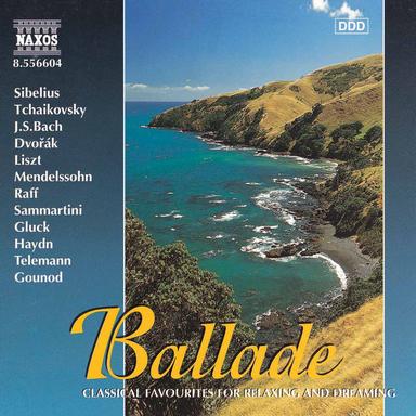 Cello Concerto No. 2 in D Major, Hob.VIIb:2: II. Adagio