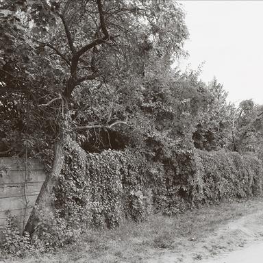 Elysium - Instrumental Version