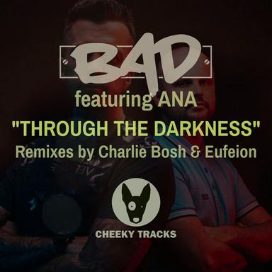 Through The Darkness - Eufeion Radio Edit