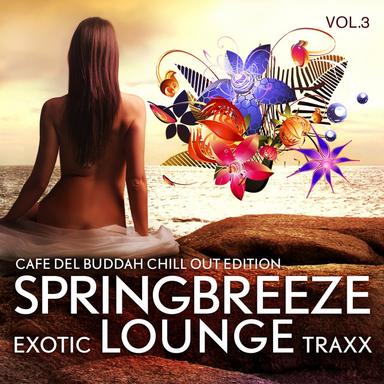 Mas Que Nada - Alsterlounge Radio Edit