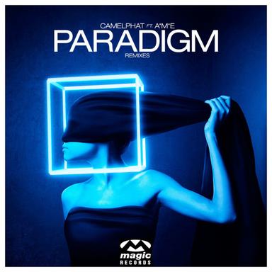 Paradigm (Remixes)