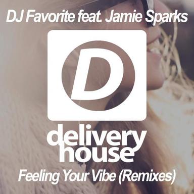 Feeling Your Vibe - DJ Dnk Remix