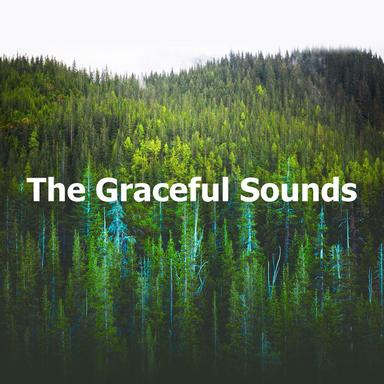 The Graceful Sounds