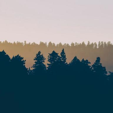 Twilight Dawn