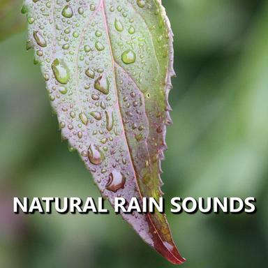 Fantastic Atmospheric Rain Sounds