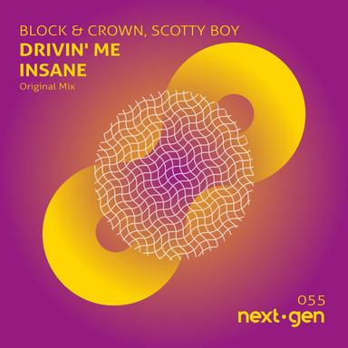 Drivin' Me Insane - Original Mix
