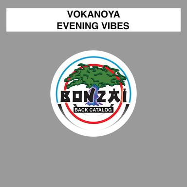 Evening Vibes - Reworked