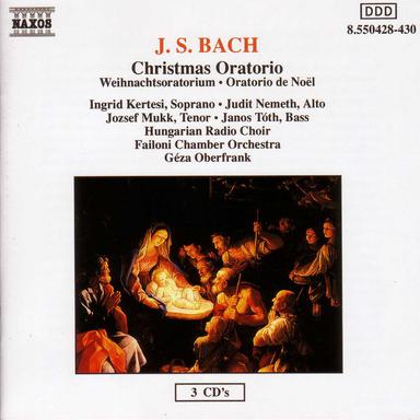 Christmas Oratorio, BWV 248: Aria: Grosser Herr und starker Konig (Bass)