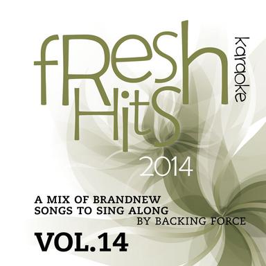 Fresh Karaoke Hits - 2014 - Vol. 14