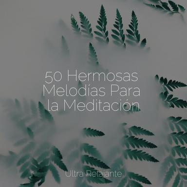 Armonía Celestial