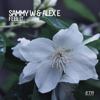 Feel It - Radio Mix