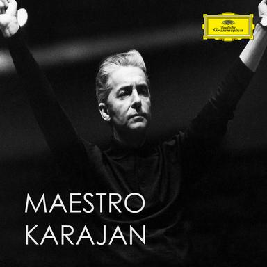 Concerto grosso in B minor, Op. 6, No. 12: 4. Largo