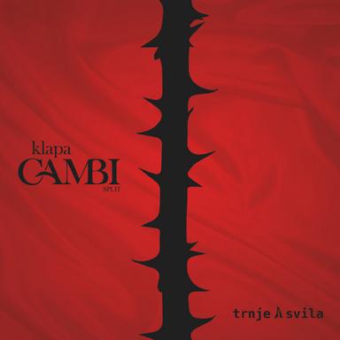 Ja Ću Te Uvijek Voljeti