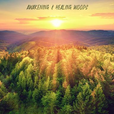 Talking Forest