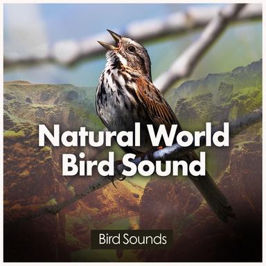 The Great Lake of Birds