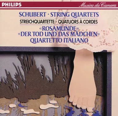 String Quartet No.13 in A Minor, D.804 - "Rosamunde": 1. Allegro ma non troppo