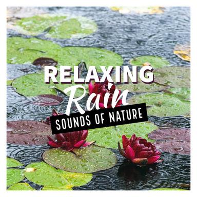 9 Minutes of Rain