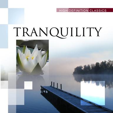 Symphony No.8 in B minor, Unfinished, D. 759 : II. Andante con moto