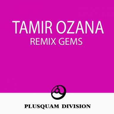 Destiny - Tamir Ozana Remix