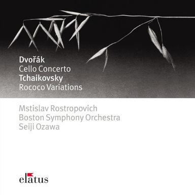 Dvořák: Cello Concerto in B Minor, Op. 104, B. 191: I. Allegro