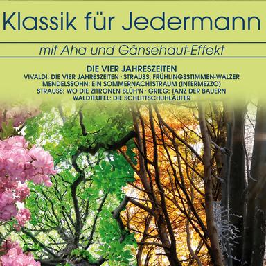 Violin Concerto in E Major, RV 269 "Spring" from "The Four Seasons": II. Largo e pianissimo sempre