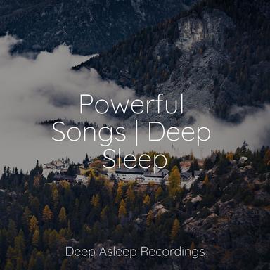 Woodwind Relaxations