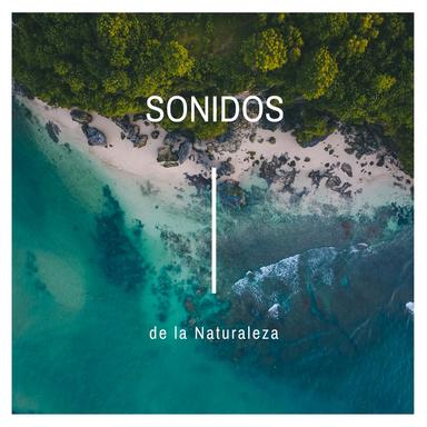 El Sinsonte se Luce