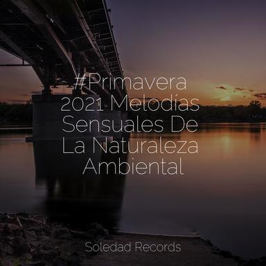 La Profundidad De Los Sueños
