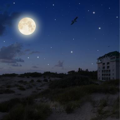 Warmer Sands