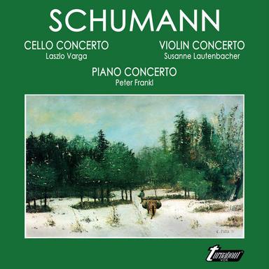 Piano Concerto in A minor, Op. 54: I. Allegro affetuoso