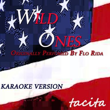Wild Ones - Karaoke Version, Originally perfomed By Flo Rida