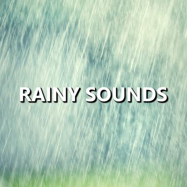 Calm Moonlit Rain Sounds