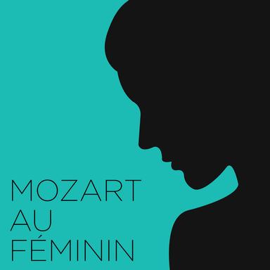 Serenade in D Major, K. 203/189b: II. Andante