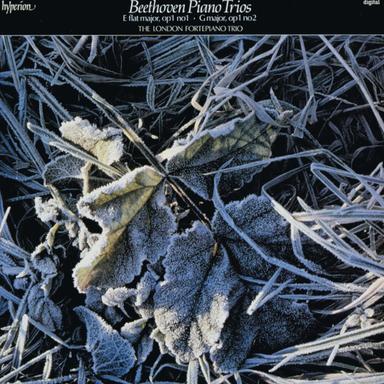 Piano Trio No. 1 in E-Flat Major, Op. 1 No. 1: II. Adagio cantabile
