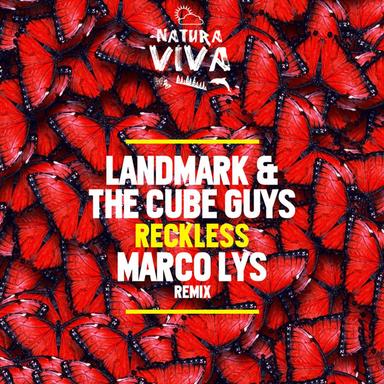 Reckless - Marco Lys Remix