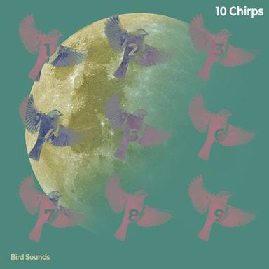 Many Birds