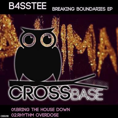 Bring The House Down - Original Mix