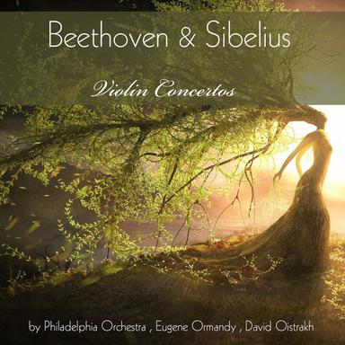 Violin Concerto in D Minor, Op. 47: II. Adagio di molto