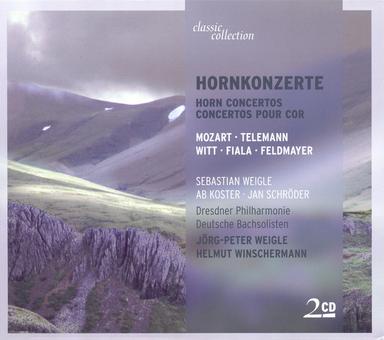 Horn Concerto No. 1 in D Major, K. 412: II. Rondo: Allegro (composed by F. X. Sussmayer)