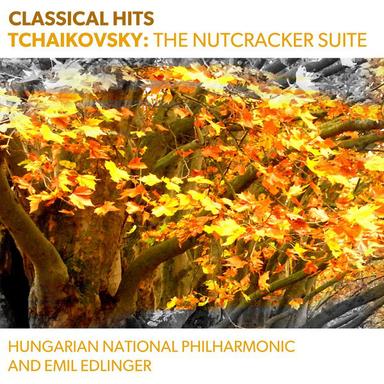 The Nutcracker Suite, Op. 71a: VIII. Waltz of the Flowers